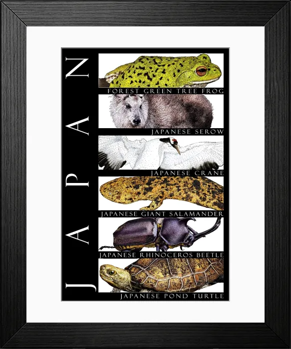Framed Print : Wildlife of Japan Framed Print : Wildlife of Japan
