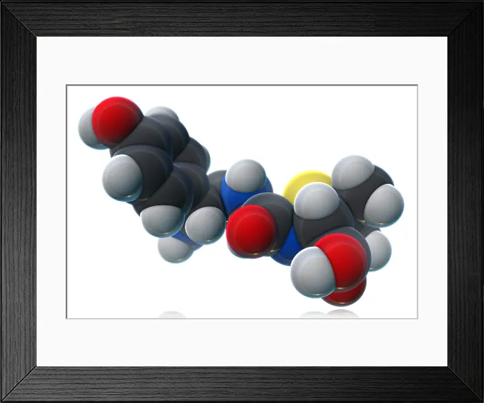 Framed Print : Amoxicillin Molecular Model