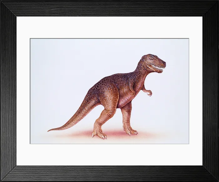 Framed Print : Tyrannosaurus rex