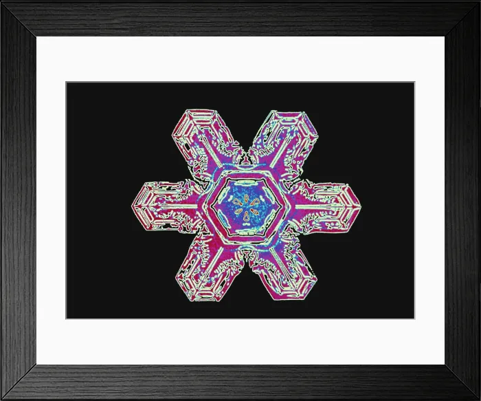 Framed Print : Snowflakes Framed Print : Snowflakes