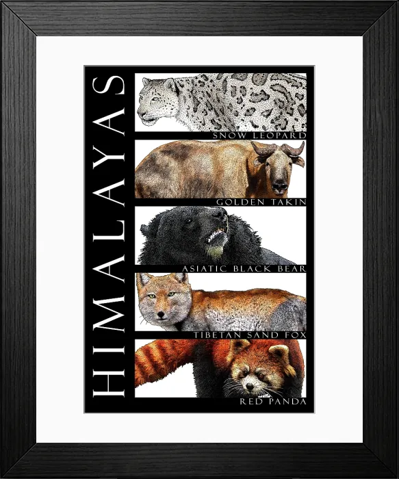 Framed Print : Animals of the Himalayas, Poster Framed Print : Animals of the Himalayas, Poster