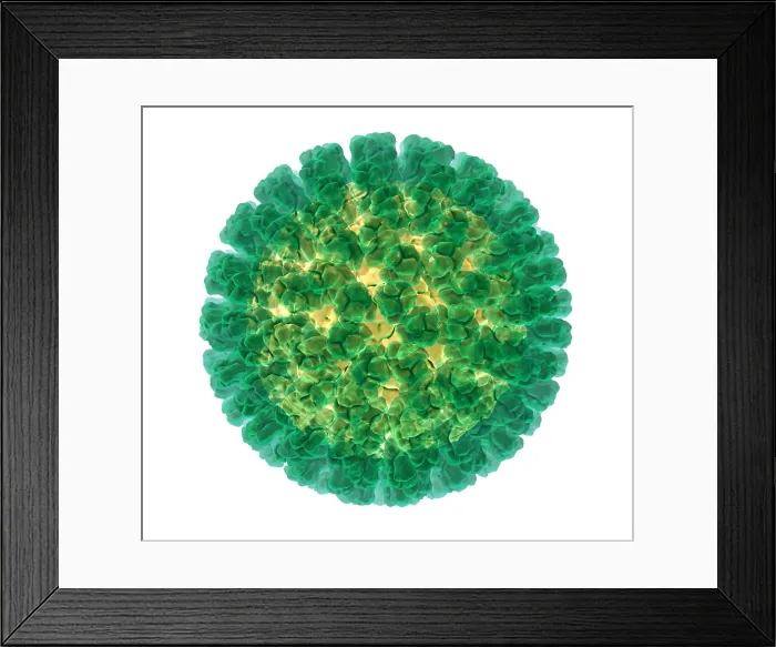 Framed Print : Rotavirus, Molecular Model Framed Print : Rotavirus, Molecular Model
