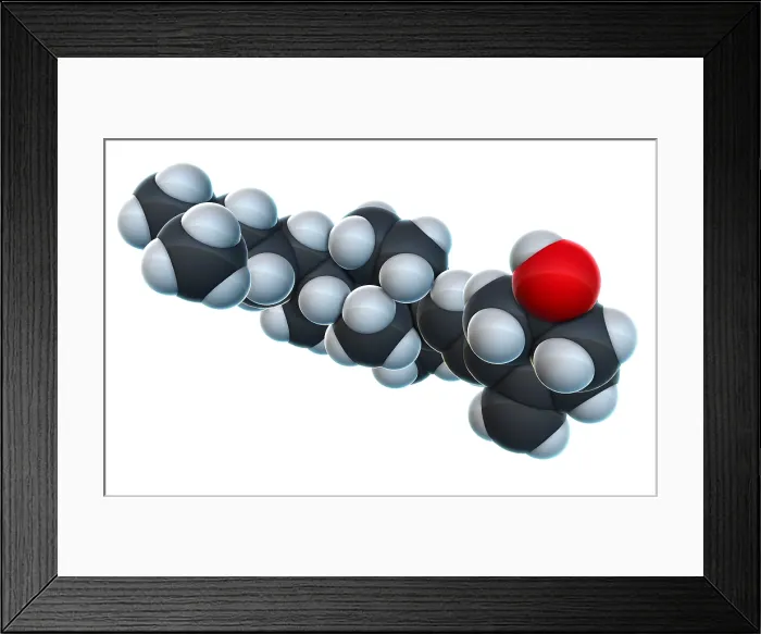 Framed Print : Vitamin D3, Molecular Model Framed Print : Vitamin D3, Molecular Model