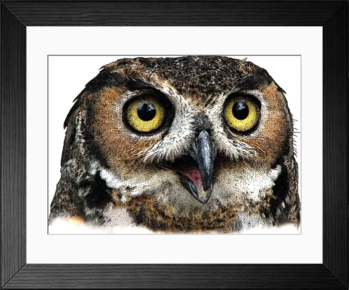 Framed Print : Great Horned Owl Framed Print : Great Horned Owl