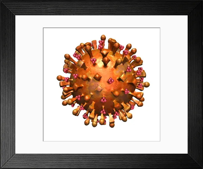 Framed Print : H5N1 Virus Framed Print : H5N1 Virus