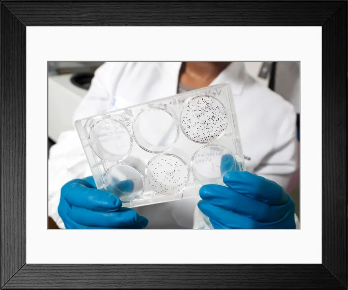 Framed Print : Cell Culture Growth