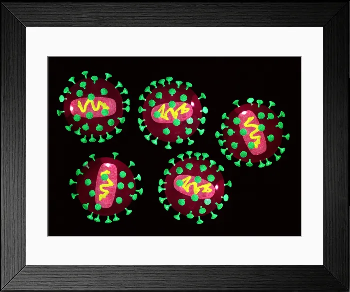 Framed Print : AIDS viruses (HIV), computer artwork