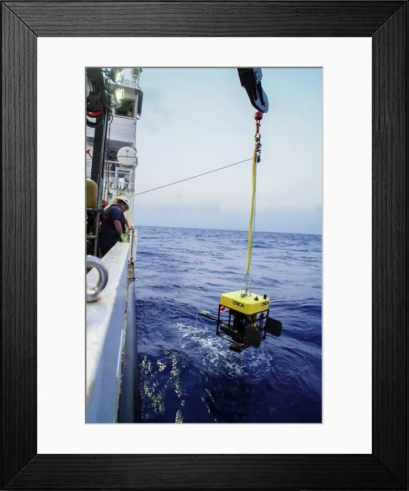 Framed Print : MEDUSA Unit