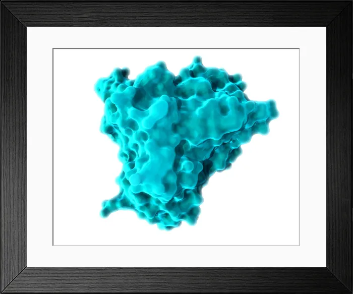Framed Print : KRAS, Molecular Model Framed Print : KRAS, Molecular Model