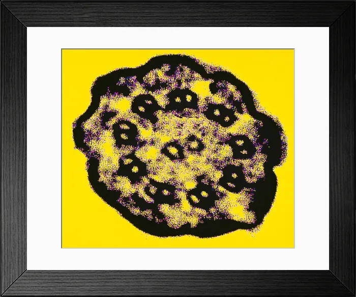 Framed Print : Cilium. Cross section of cilium on a ciliated protozoan Framed Print : Cilium. Cross section of cilium on a ciliated protozoan