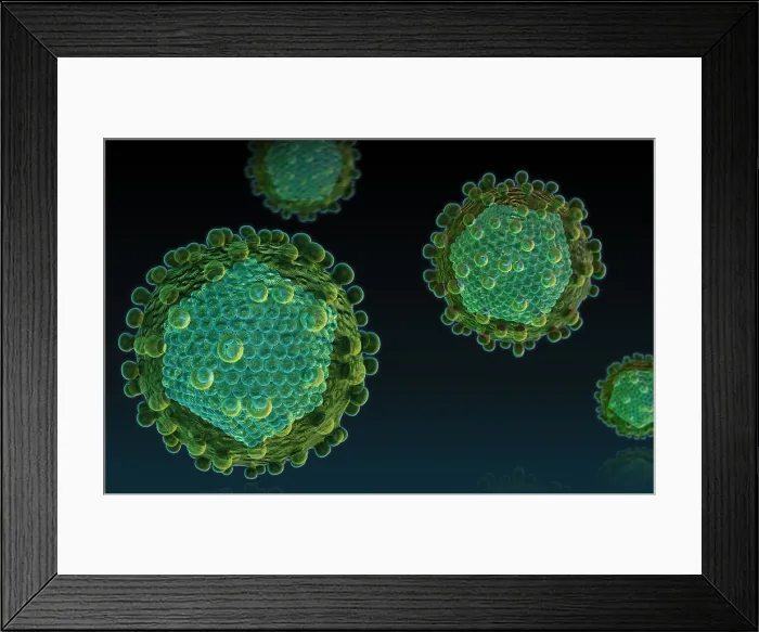 Framed Print : Hepatitis C Virus Framed Print : Hepatitis C Virus