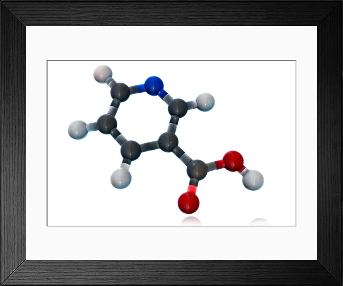Framed Print : Vitamin B3, Molecular Model