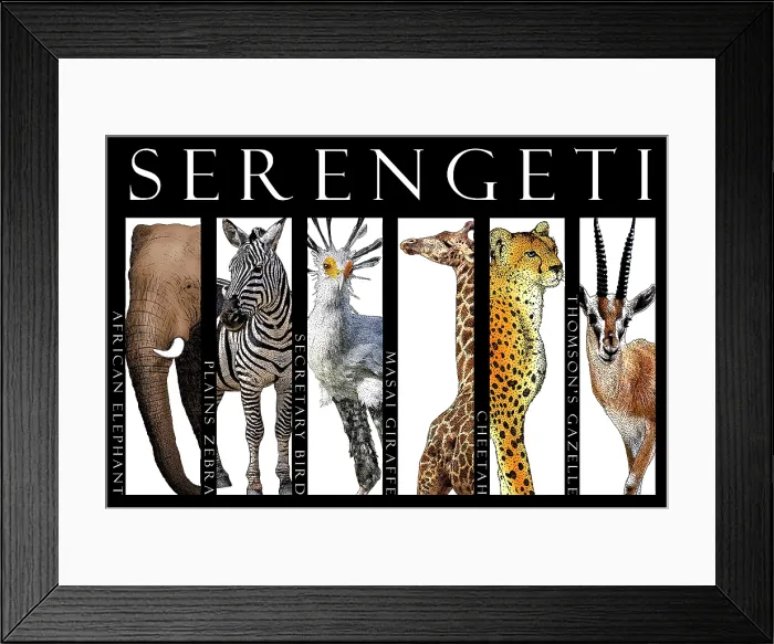 Framed Print : Animals of the Serengeti, Poster