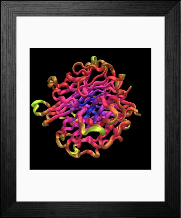Framed Print : RANKL, Model Framed Print : RANKL, Model
