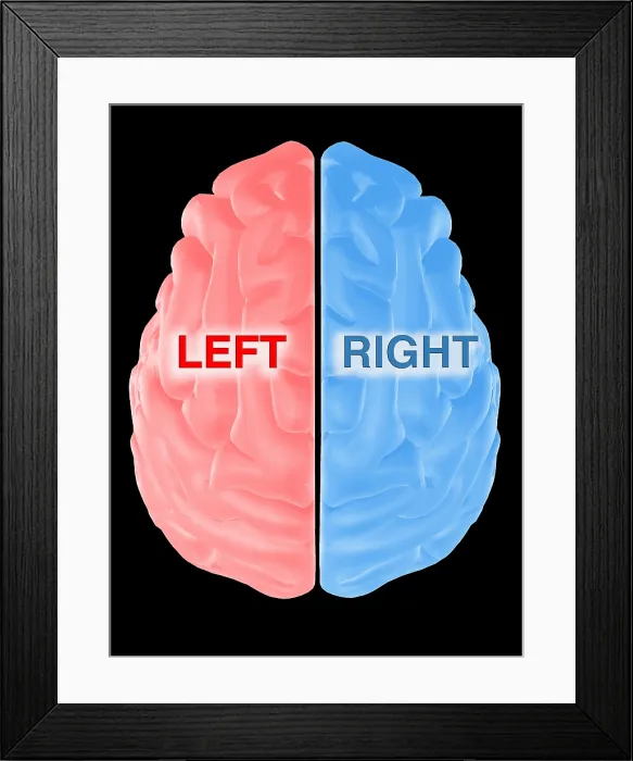 Framed Print : Hemispheres of the Brain