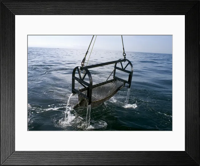 Framed Print : Trawling for marine life