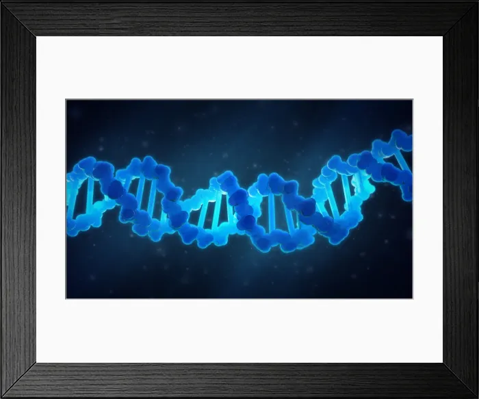 Framed Print : DNA Illustration