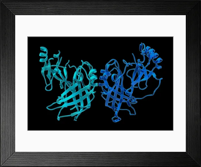Framed Print : VP40, Molecular Model Framed Print : VP40, Molecular Model
