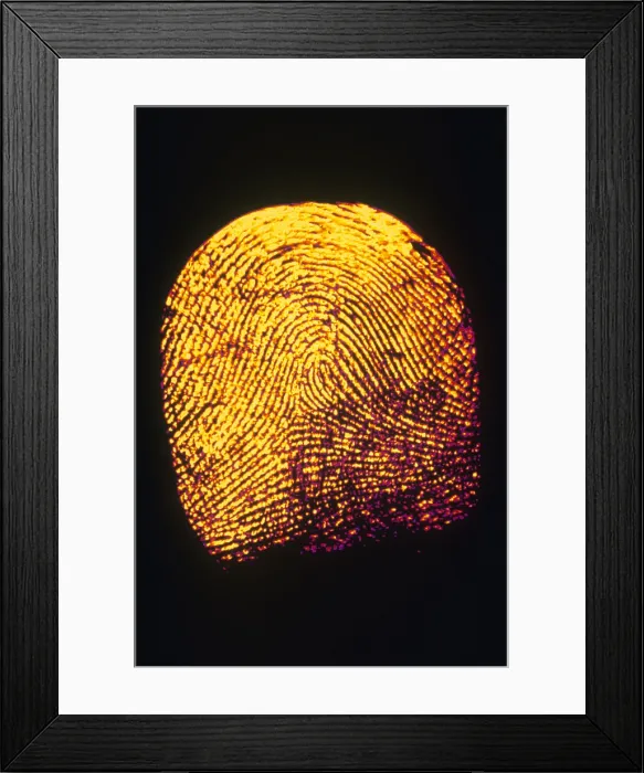 Framed Print : Human Fingerprint Framed Print : Human Fingerprint