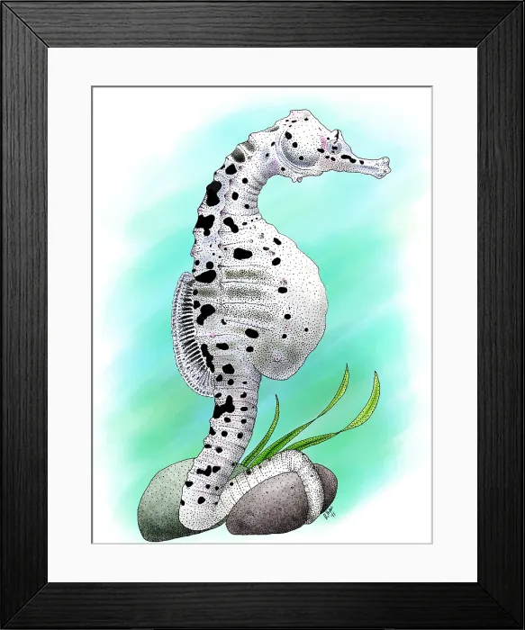 Framed Print : Big Belly Seahorse Framed Print : Big Belly Seahorse