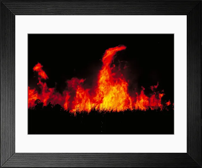 Framed Print : Slash and burn agriculture