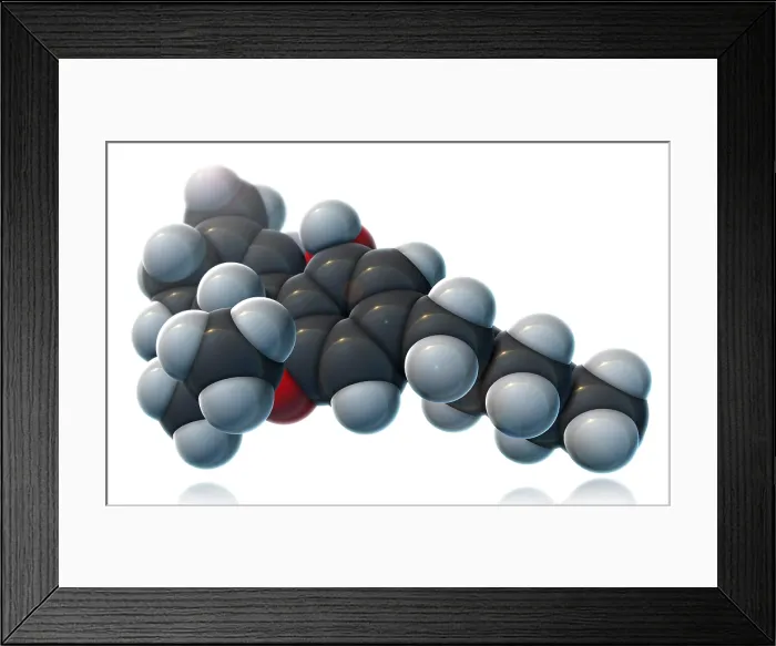 Framed Print : THC Molecular Model Framed Print : THC Molecular Model