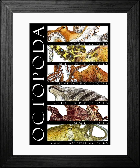 Framed Print : Octopus of the World Framed Print : Octopus of the World