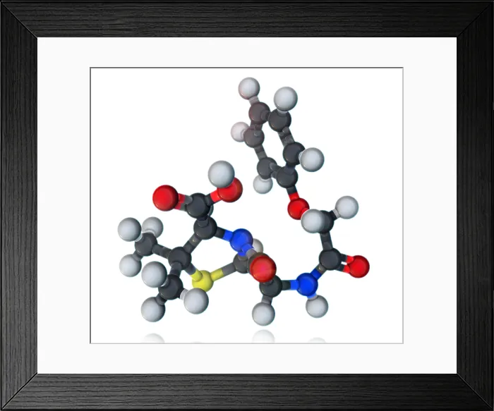 Framed Print : Penicillin V Molecular Model Framed Print : Penicillin V Molecular Model