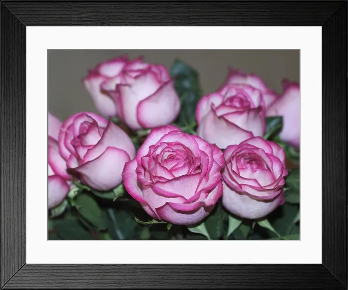 Framed Print : Bouquet of Pink Roses