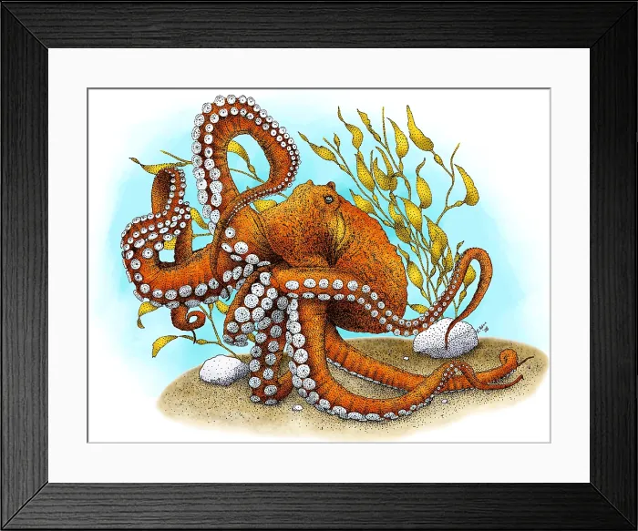 Framed Print : North Pacific Giant Octopus