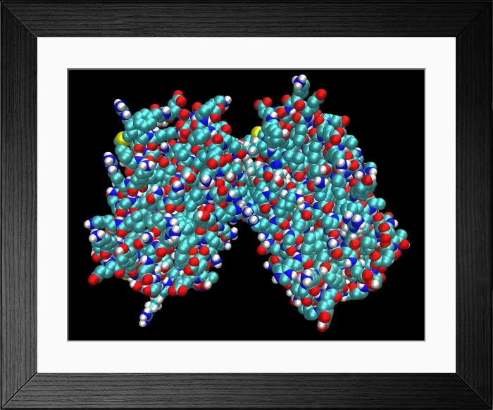 Framed Print : Human Interferon-Beta Framed Print : Human Interferon-Beta
