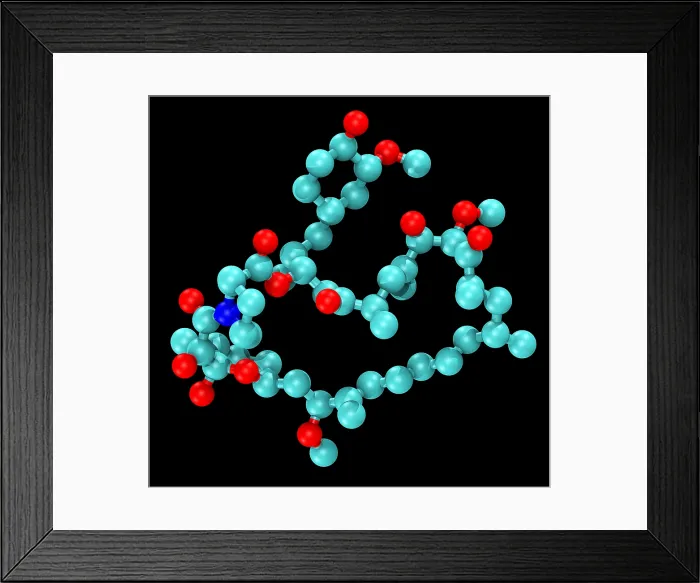 Framed Print : Sirolimus (Rapamycin), Molecular Model