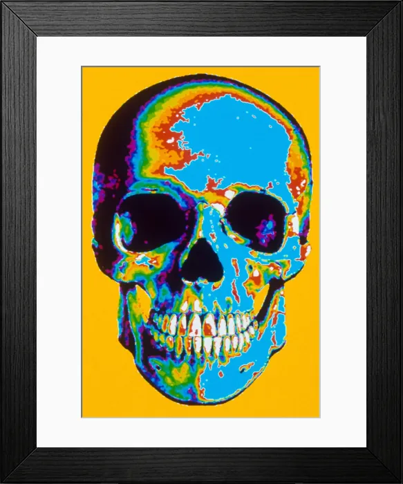 Framed Print : Human Skull