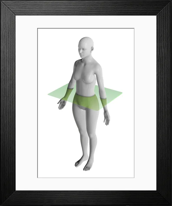 Framed Print : Transverse Plane Framed Print : Transverse Plane