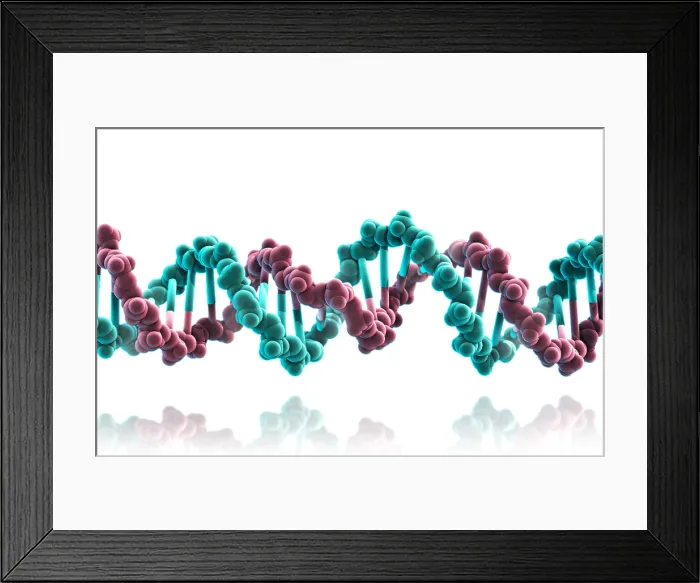 Framed Print : DNA, Molecular Model