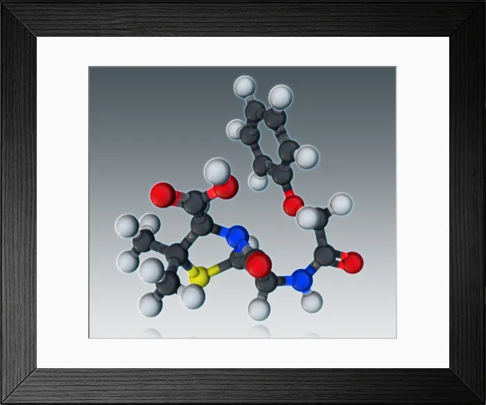 Framed Print : Penicillin V Molecular Model Framed Print : Penicillin V Molecular Model