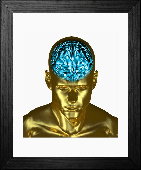 Framed Print : Brain in Adult Man