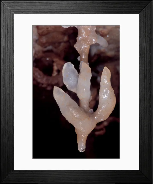Framed Print : Cave Formation Dripping Framed Print : Cave Formation Dripping