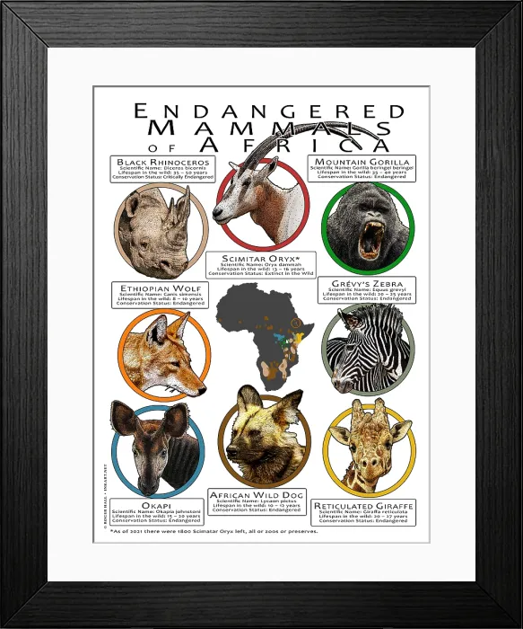 Framed Print : Endangered Mammals of Africa Framed Print : Endangered Mammals of Africa