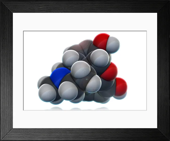 Framed Print : Morphine Molecular Model