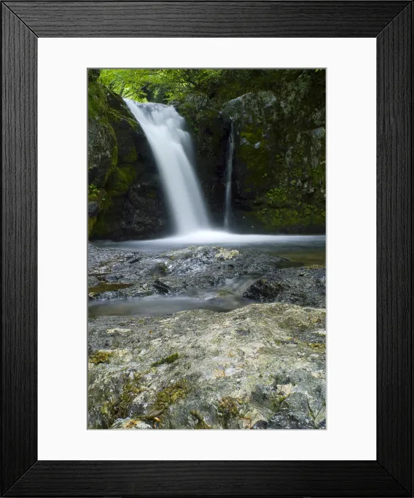 Framed Print : Andrias Habitat Framed Print : Andrias Habitat