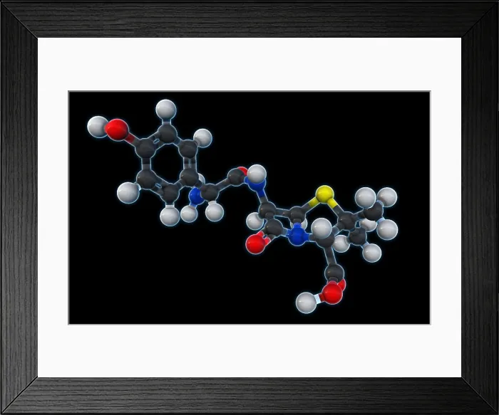 Framed Print : Amoxicillin Molecular Model
