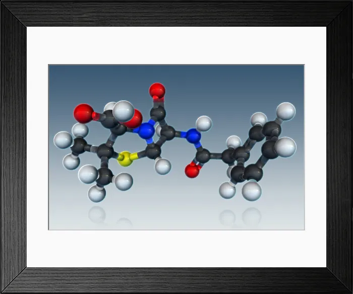 Framed Print : Penicillin G Molecular Model