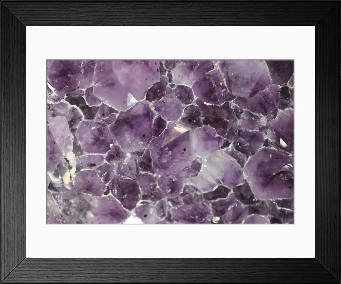 Framed Print : Amethyst, a form of quartz Framed Print : Amethyst, a form of quartz