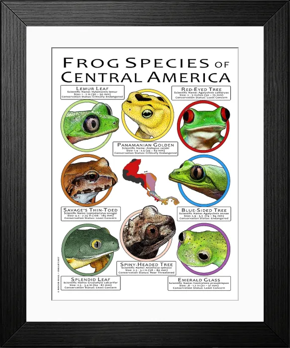Framed Print : Freshwater Turtles of the United States
