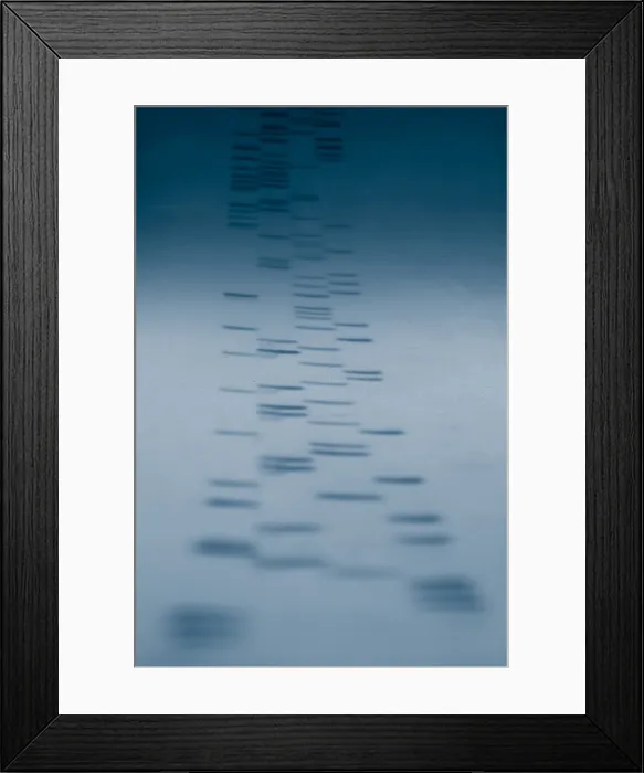 Framed Print : DNA sequencing Framed Print : DNA sequencing