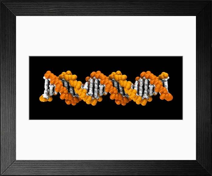 Framed Print : 3D DNA Molecule Framed Print : 3D DNA Molecule