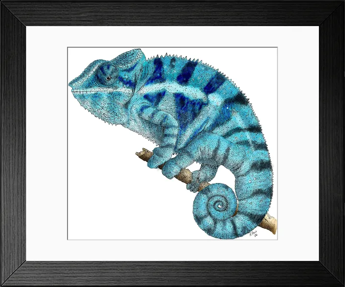 Framed Print : Panther Chameleon Framed Print : Panther Chameleon