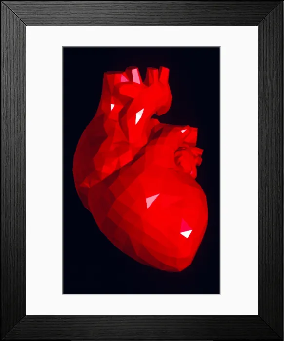 Framed Print : Heart model Framed Print : Heart model