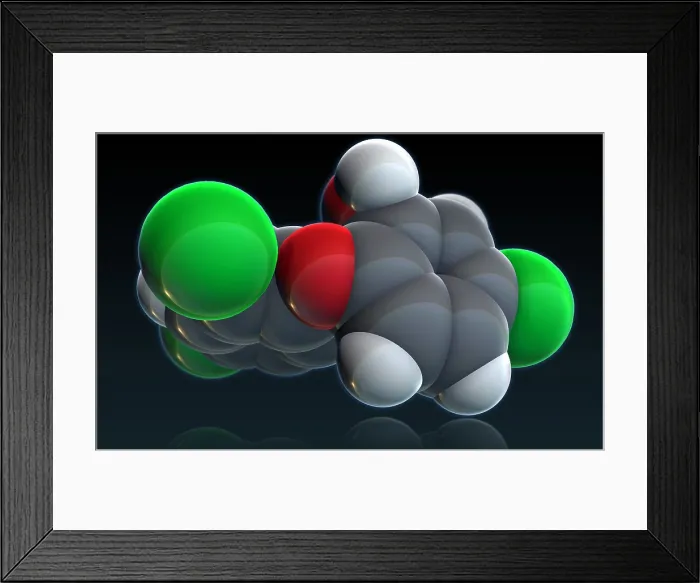 Framed Print : Triclosan. A molecular model of triclosan, an antibacterial Framed Print : Triclosan. A molecular model of triclosan, an antibacterial